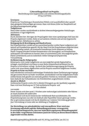 HerstellungPropolisNiklas